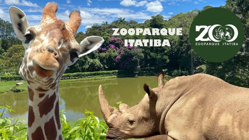 Alunos do Ensino Fundamental do Colégio Objetivo Nova Odessa visitarão o Zooparque em Itatiba